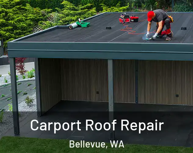  Carport Roof Repair Bellevue, WA