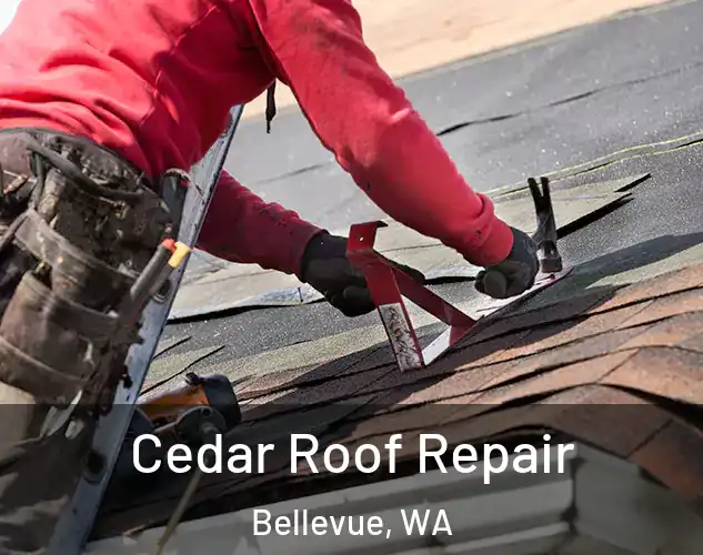  Cedar Roof Repair Bellevue, WA