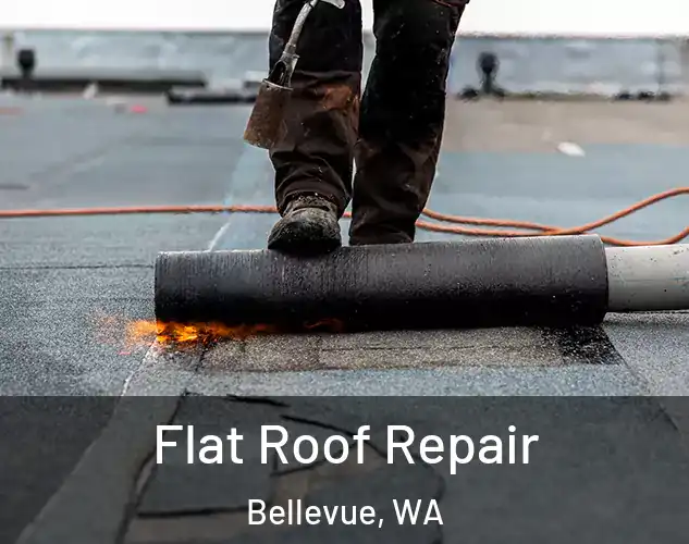  Flat Roof Repair Bellevue, WA