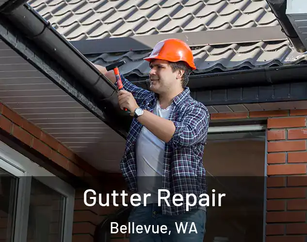  Gutter Repair Bellevue, WA