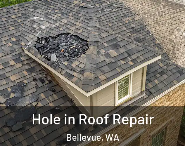  Hole in Roof Repair Bellevue, WA