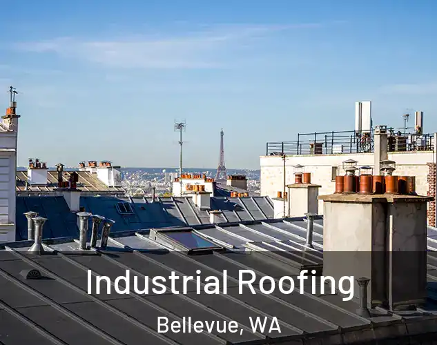  Industrial Roofing Bellevue, WA