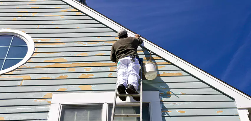 Professional Roof and Siding Repair Services in Bellevue, WA