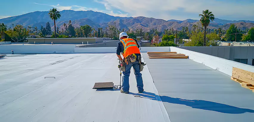 Professional Roof Coating Services in Bellevue, WA