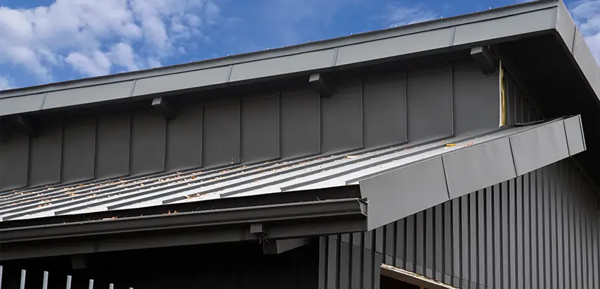 Professional Roof Eaves Installation Services in Bellevue, WA