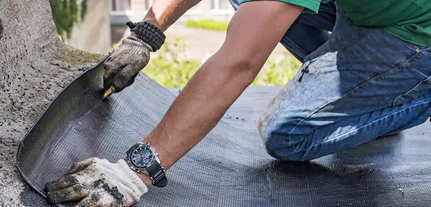 Professional Roof Water Damage Repair Services in Bellevue, WA