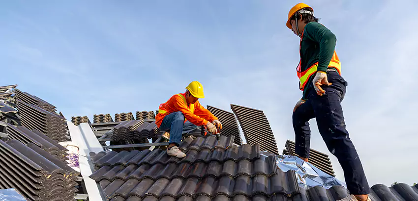 Professional Roofing Services in Bellevue, WA