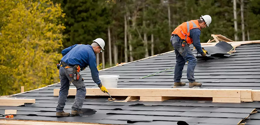 Agricultural Roof Maintenance Bellevue