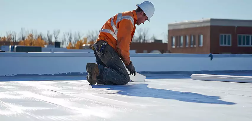 Commercial Roof Coating in Bellevue