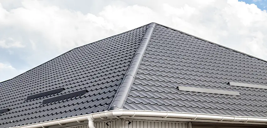 Roof Gully Repair in Bellevue