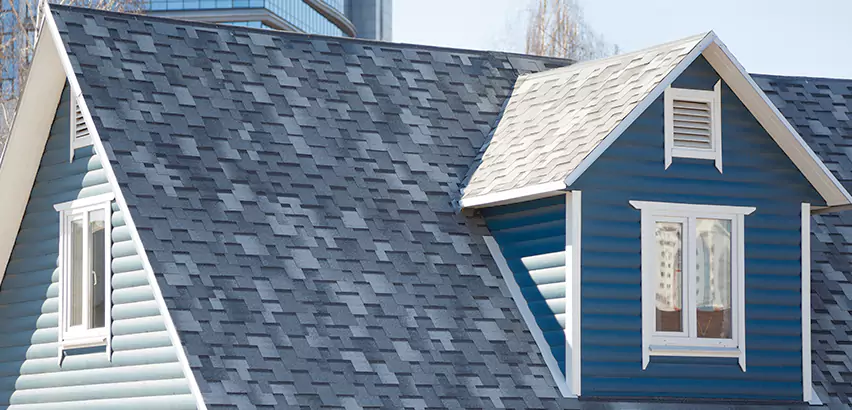 Shingle Roof Maintenance in Bellevue