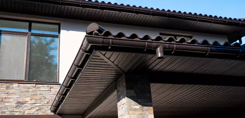 Soffit Damage Repair in Bellevue
