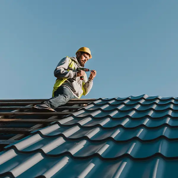 Why Bellevue Roofing Co Is the Right Choice in Bellevue, WA?