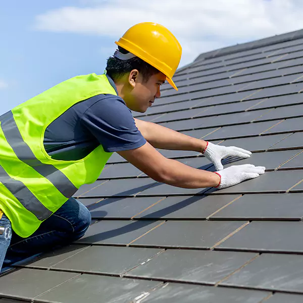 Why Choose Bellevue Roofing Co in Bellevue, WA?