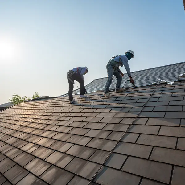 Why Bellevue Roofing Co is the Right Choice in Bellevue, WA?