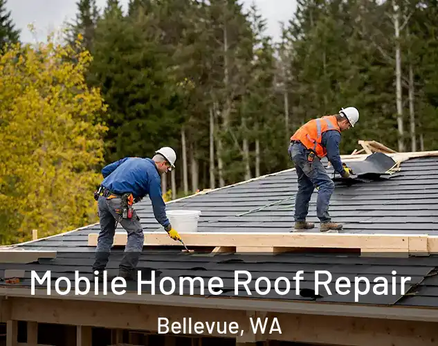  Mobile Home Roof Repair Bellevue, WA