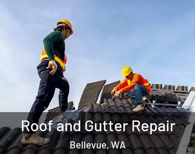  Roof and Gutter Repair Bellevue, WA