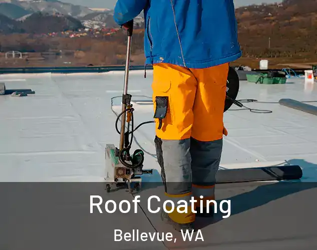  Roof Coating Bellevue, WA
