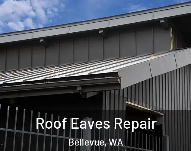  Roof Eaves Repair Bellevue, WA