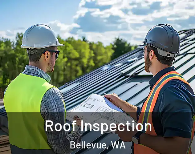  Roof Inspection Bellevue, WA