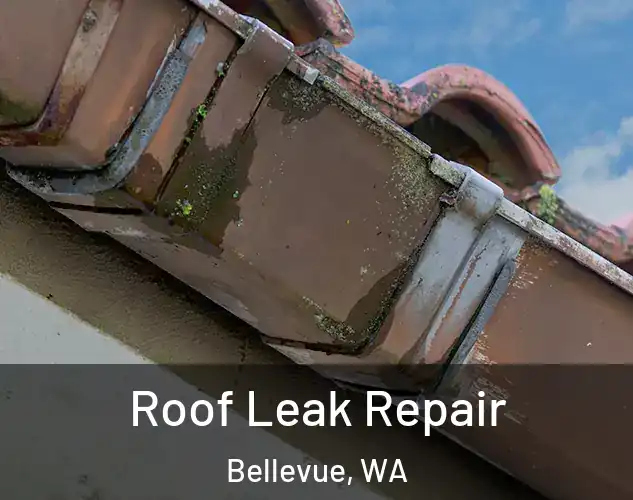  Roof Leak Repair Bellevue, WA