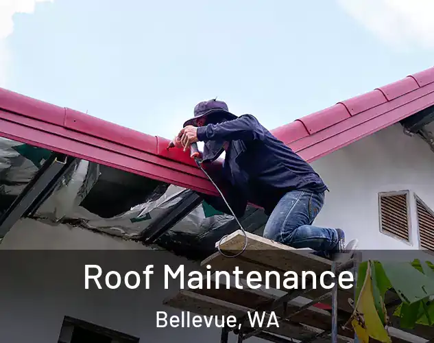  Roof Maintenance Bellevue, WA