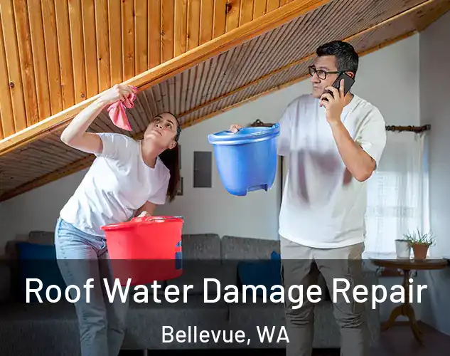  Roof Water Damage Repair Bellevue, WA