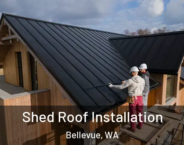  Shed Roof Installation Bellevue, WA
