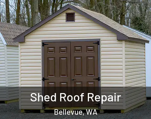  Shed Roof Repair Bellevue, WA