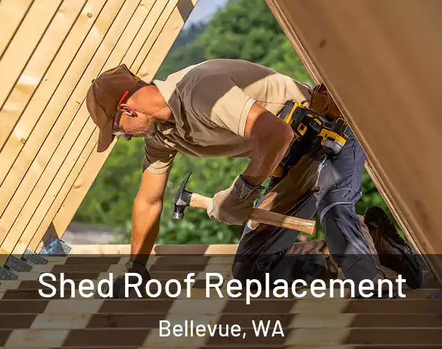  Shed Roof Replacement Bellevue, WA