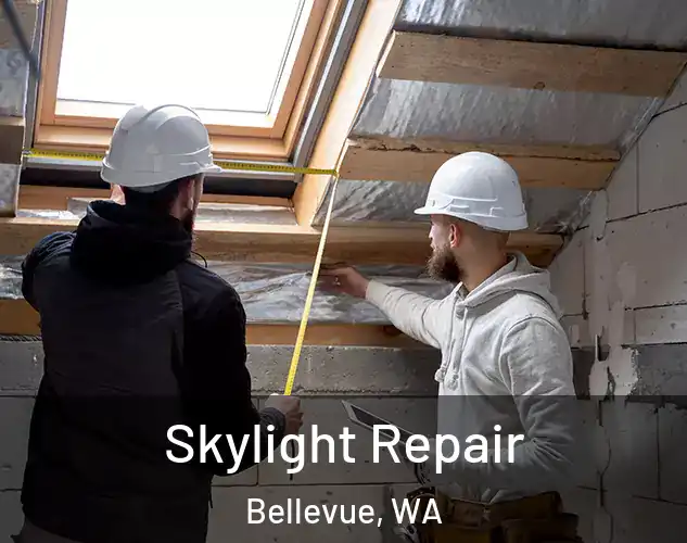  Skylight Repair Bellevue, WA
