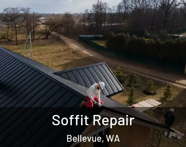  Soffit Repair Bellevue, WA