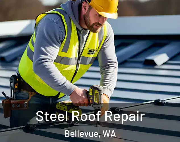  Steel Roof Repair Bellevue, WA