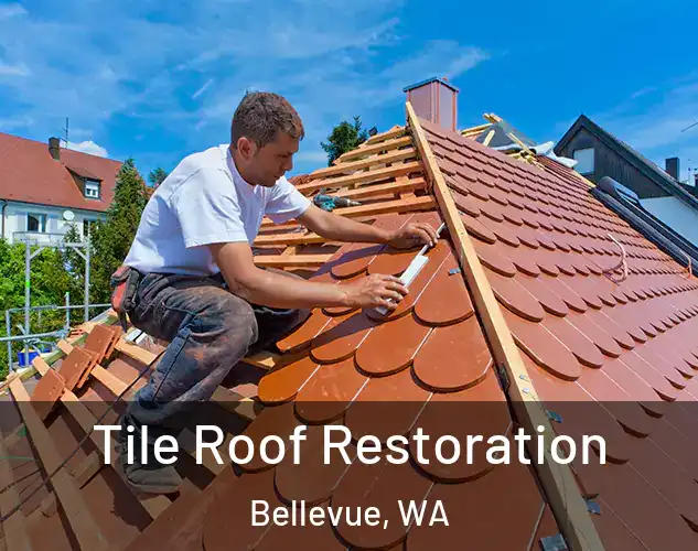  Tile Roof Restoration Bellevue, WA